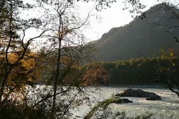 Река Катунь Горного Алтая